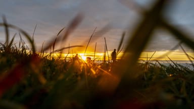 Property Sec 462 Myponga Beach, Myponga Beach SA 5202 IMAGE 0