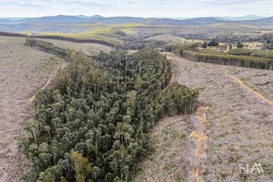 Property 124 & 126 Camden Road, Tayene TAS 7259 IMAGE 0