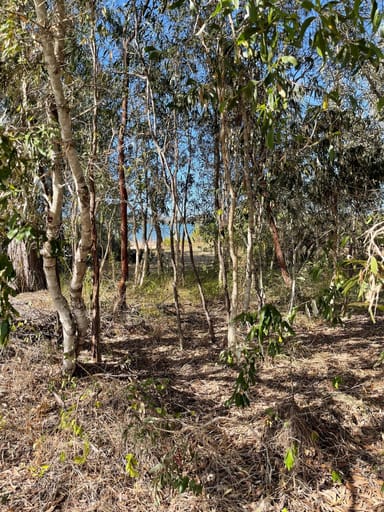 Property 22 Bowton Street, TURKEY BEACH QLD 4678 IMAGE 0