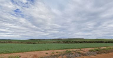 Property Sandy Gully Sandy Gully WA 6535 IMAGE 0