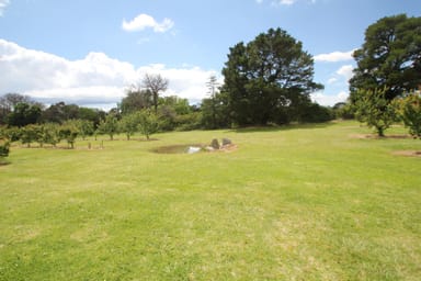 Property 362 New England Highway, Tenterfield NSW 2372 IMAGE 0