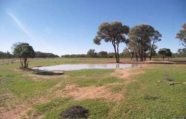 Property 2289 Bora Whyman Road, Bourke NSW 2840 IMAGE 0