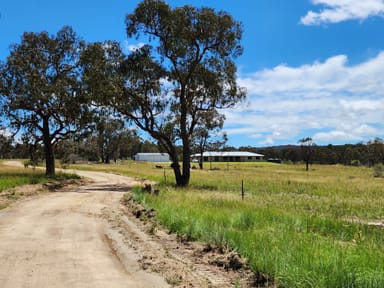 Property 681 Sugarloaf Road, Kyoomba QLD 4380 IMAGE 0