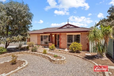 Property 16 Toorak Drive, Blakeview SA 5114 IMAGE 0