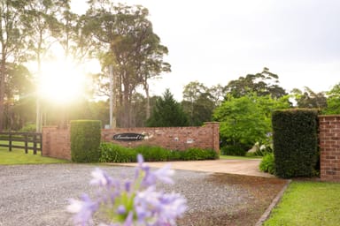 Property 82 Jack Reid Road, TERMEIL NSW 2539 IMAGE 0