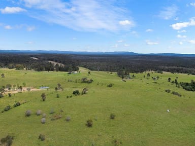 Property 465 Ellangowan Myrtle Creek Road, Ellangowan NSW 2470 IMAGE 0