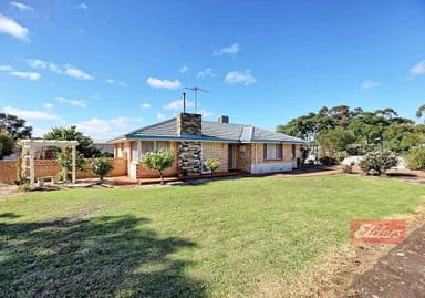 Property 117 Earl Street, Narrogin WA 6312 IMAGE 0