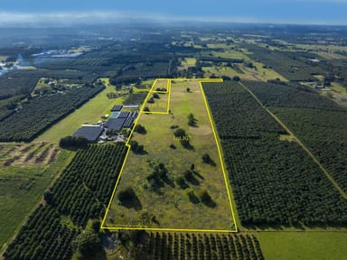 Property 251 Rous Road, Rous NSW 2480 IMAGE 0
