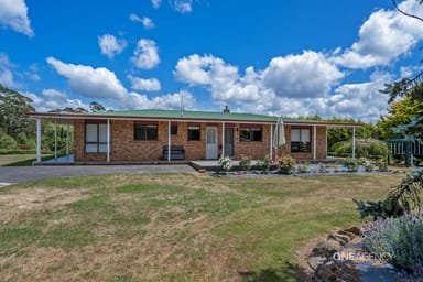 Property 15 Dunns Road, Christmas Hills TAS 7330 IMAGE 0