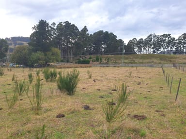 Property Lot 2 Cemetery Road, GEEVESTON TAS 7116 IMAGE 0