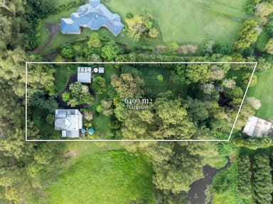Property 101 Candle Mountain Drive, Crohamhurst QLD 4519 IMAGE 0