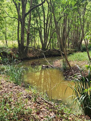 Property 10c Joey Place, Congarinni NSW 2447 IMAGE 0