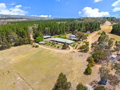 Property 267 Back Creek Road, Gundaroo NSW 2620 IMAGE 0