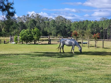 Property 54-56 Fiddlewood Court, Woodford QLD 4514 IMAGE 0