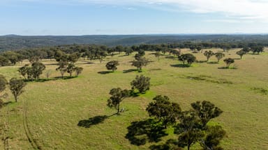 Property 874 Ramah Road, GUYRA NSW 2365 IMAGE 0