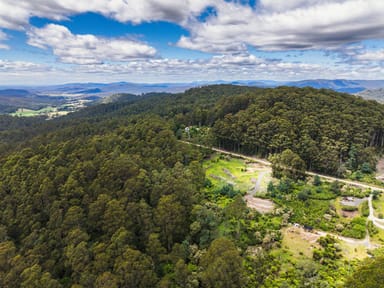 Property PID 263303 Lottah Road, LOTTAH TAS 7216 IMAGE 0