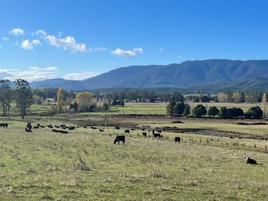 Property 36143 Tasman Highway, SPRINGFIELD TAS 7260 IMAGE 0