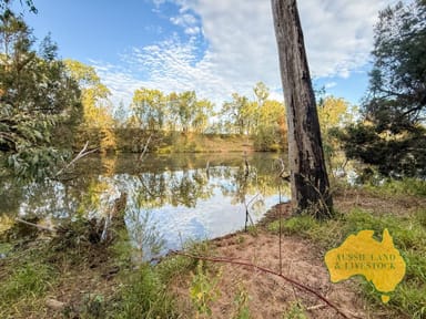 Property 8 SCREENING PLANT ROAD, CYNTHIA QLD 4627 IMAGE 0