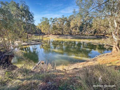 Property Murrumbidgee River Road Murrumbidgee River Road, Carrathool NSW 2711 IMAGE 0