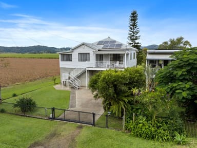 Property 156 Tweed Valley Way, South Murwillumbah NSW 2484 IMAGE 0