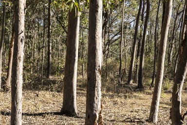 Property 144, Fifteen Mile Road, Murphys Creek QLD 4352 IMAGE 0