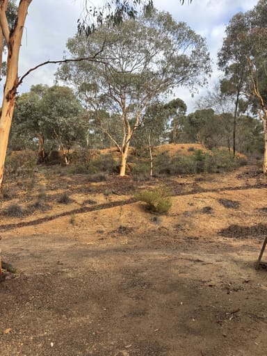 Property 155 Wandoo Cir, Toodyay WA 6566 IMAGE 0