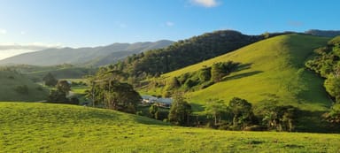 Property 254 Bee Creek Road, EUNGELLA QLD 4757 IMAGE 0