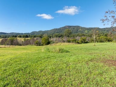 Property 8 Tareeda Way, Nimbin NSW 2480 IMAGE 0