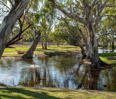 Property 7, 8 and 9, Creecoona Terrace, Bordertown SA 5268 IMAGE 0