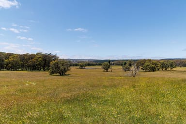 Property 374 Ivers Forest Road, Chatham Valley NSW 2787 IMAGE 0