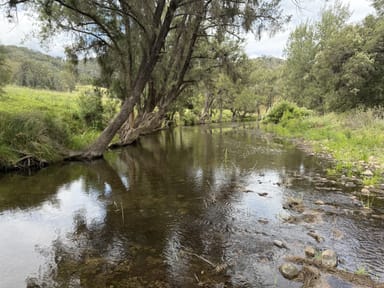 Property "Wylua" Trevallyn Road, UPPER HORTON NSW 2347 IMAGE 0