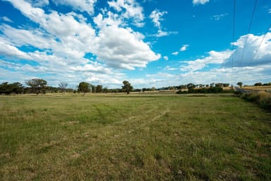 Property Castlereagh Highway Castlereagh Highway, Gulgong NSW 2852 IMAGE 0