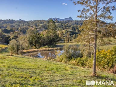 Property 20, 2981 Kyogle Road, KUNGHUR NSW 2484 IMAGE 0