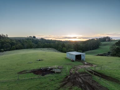 Property 822 Mount Hicks Road, Mount Hicks TAS 7325 IMAGE 0