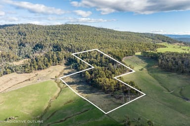 Property Lot 1, 118 Arnolds Road, LOWER TURNERS MARSH TAS 7267 IMAGE 0