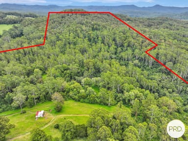 Property 1851 Hannam Vale Road, LORNE NSW 2439 IMAGE 0