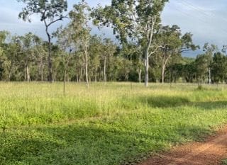 Property 288F Old Coach Road, MAJORS CREEK QLD 4816 IMAGE 0