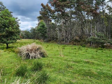 Property Lot Lot 1, 221 Irish Town Road, ST MARYS TAS 7215 IMAGE 0