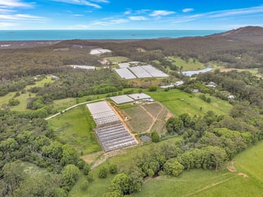 Property 289 Mardells Road, Bucca NSW 2450 IMAGE 0