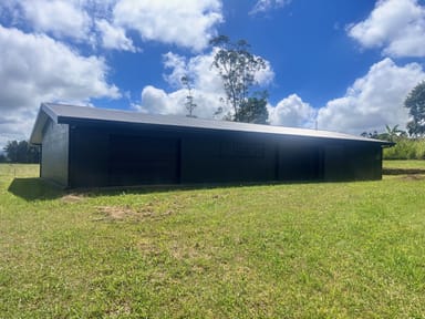 Property 86 Theresa Creek Road, MILLAA MILLAA QLD 4886 IMAGE 0