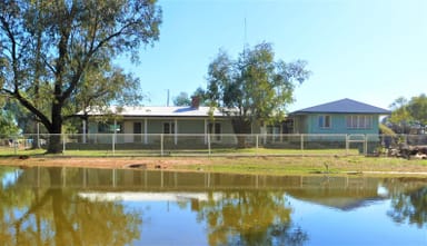 Property 1590 Robina Downs Road, Cunnamulla QLD 4490 IMAGE 0