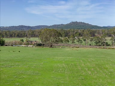 Property 234 Winkleigh Road, EXETER TAS 7275 IMAGE 0