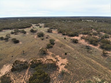 Property 2301 Arumpo Road, Mallee NSW 2738 IMAGE 0