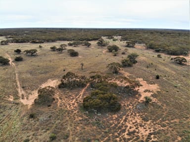 Property 2301 Arumpo Road, Mallee NSW 2738 IMAGE 0