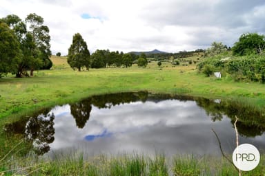 Property 244 Molesworth Road, MOLESWORTH TAS 7140 IMAGE 0