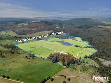 Property Lot 1 Cornelius Road, Sassafras TAS 7307 IMAGE 0