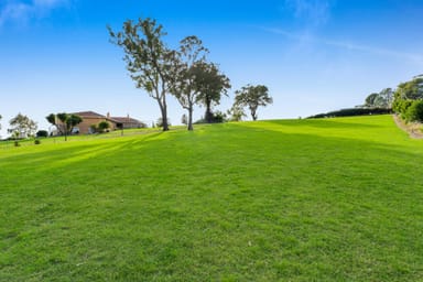 Property 11 Jackey Drive, CAMDEN PARK NSW 2570 IMAGE 0