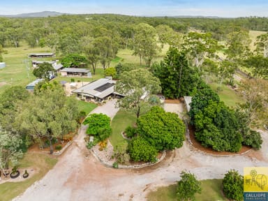 Property 230 Schilling Lane, River Ranch QLD 4680 IMAGE 0