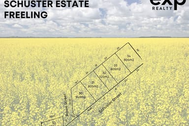 Property 30 Schuster Street, Freeling SA 5372 IMAGE 0