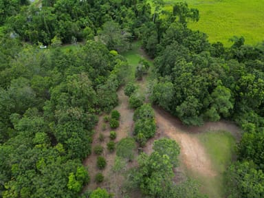 Property 2869 Mossman Daintree Road, Lower Daintree, DAINTREE QLD 4873 IMAGE 0